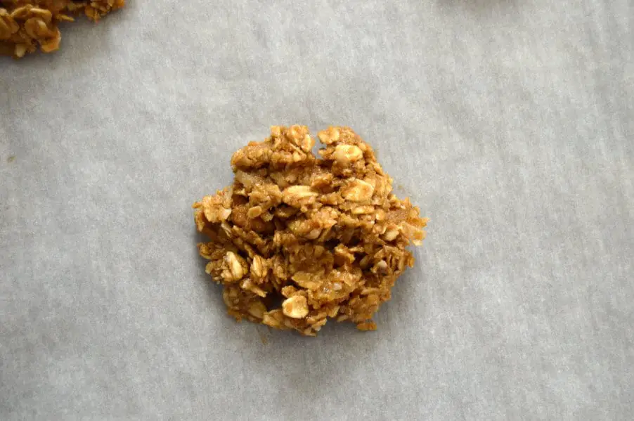 Mango Pecan Oatmeal Cookies