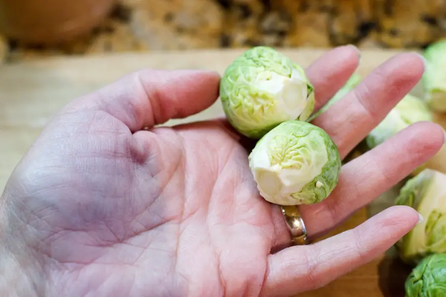 Trim off the stem ends and peel off the outer layer of leaves to clean the sprouts!