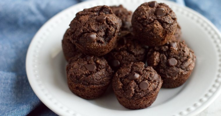 Double Chocolate Coconut Flour Muffins