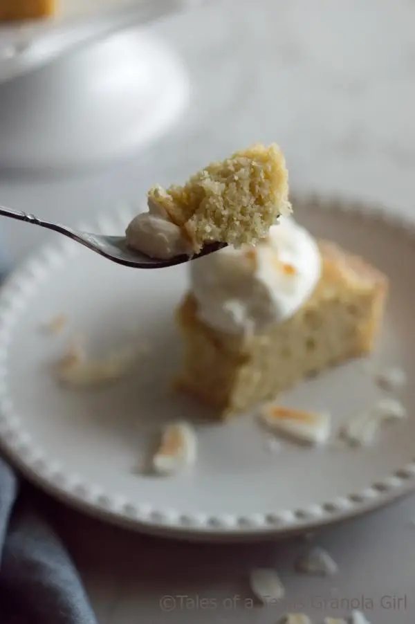 Dairy Bite of Diary Free Low Carb Coconut Cake